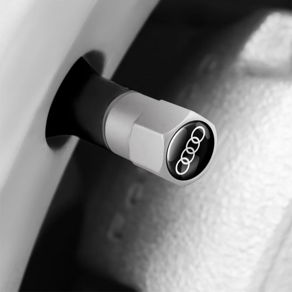 Aluminum Car Tire Valve Cover Car Badge Nylon Keychain Accessorie For Audi Sline RS A3 A4 A5 A6 b6 b7 b9 8p 8v b8 c7 S6 RS3 TT